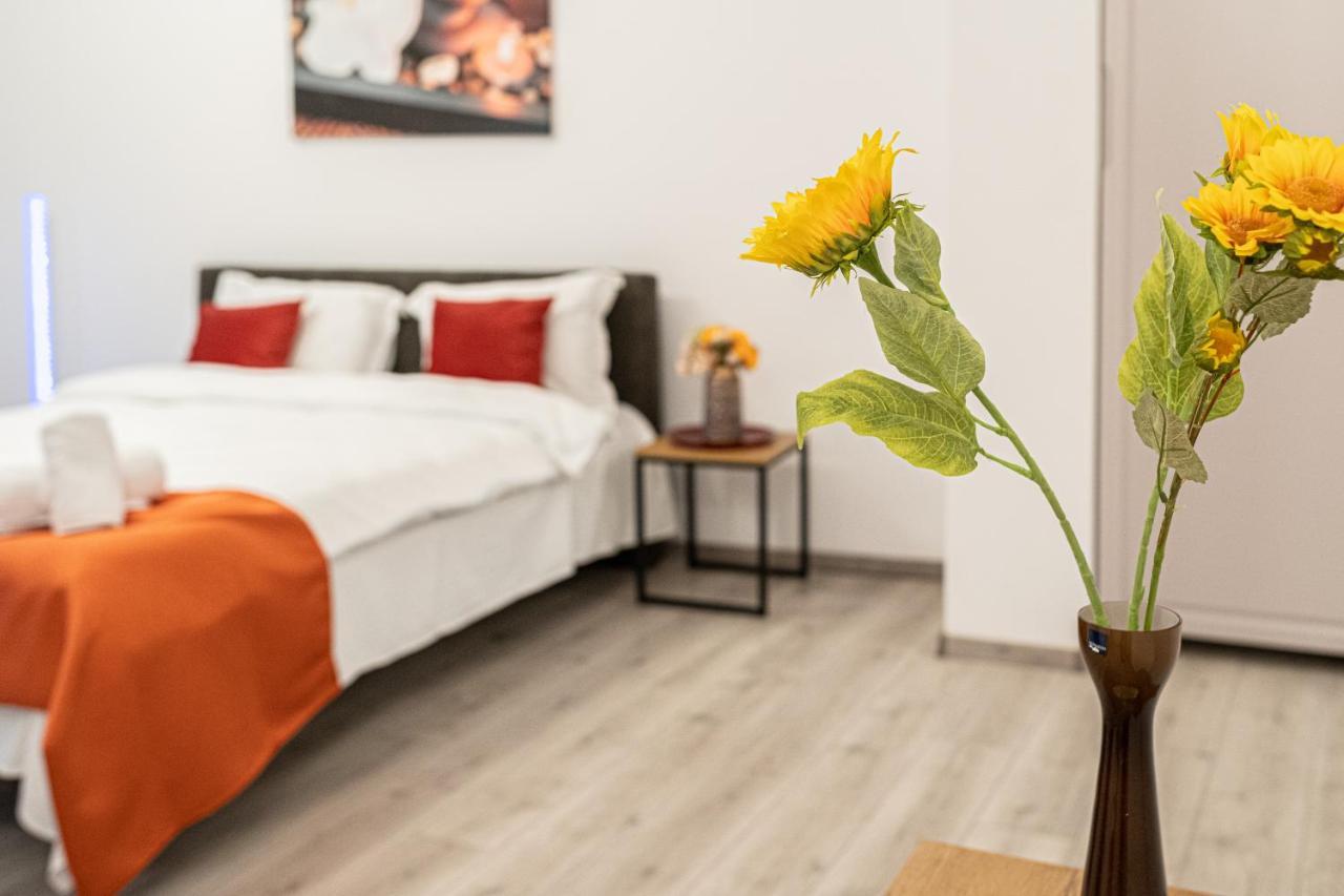 דירות קלוז'-נאפוקה Old Town Luxury In New Building. מראה חיצוני תמונה